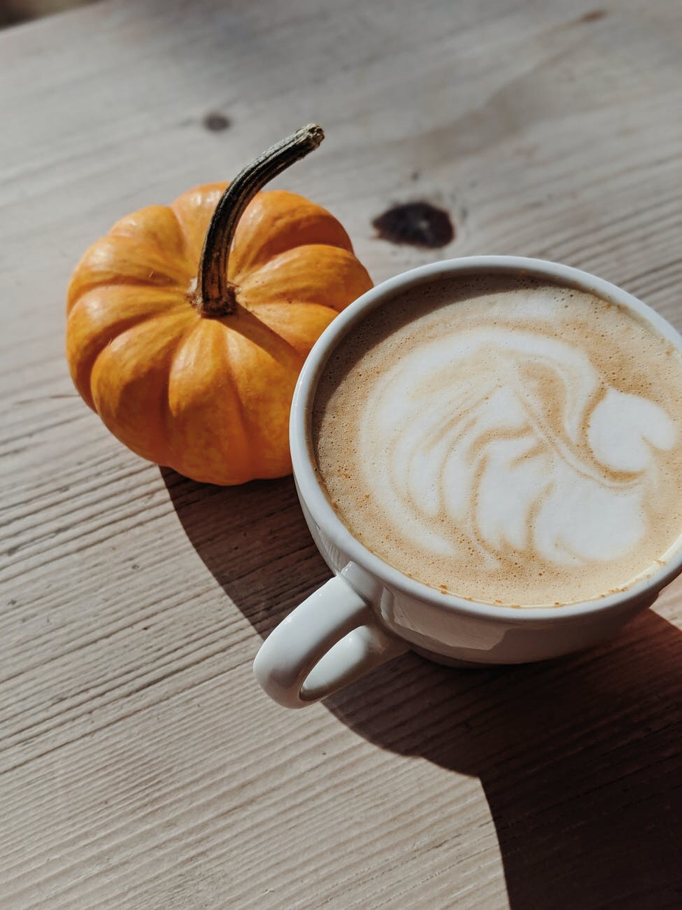 pumpkin spiced latte fall hot drinks